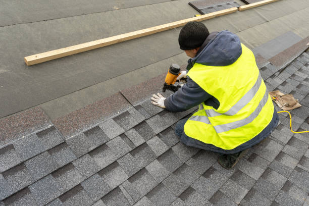 Best Roof Gutter Cleaning  in Meade, KS